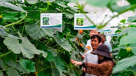 空間站與“卡脖子”，中國在警醒中爭取“逆襲